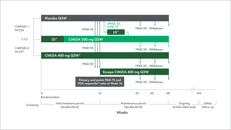 pso study design chart